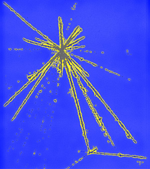 image credit: Danysz and Pniewski, Philosophical Magazine 44 348 (1953); image source 